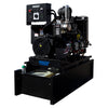 DE23 Gen 4 Diesel Generator Open Skid Prime (47 Gal. tank option available)