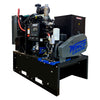 DE4040 Winco Diesel Generator Open Skid (54 Gal. tank option available)